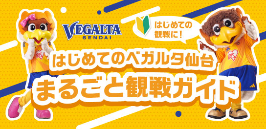 はじめてのベガルタ仙台 まるごと観戦ガイドへ移動します